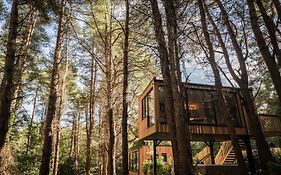 Burrenmore Nest - Luxury Forest Lodges With Hot Tubs & Sauna